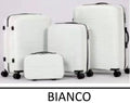 Set di valigie 4 pezzi Trolley a mano impermeabile